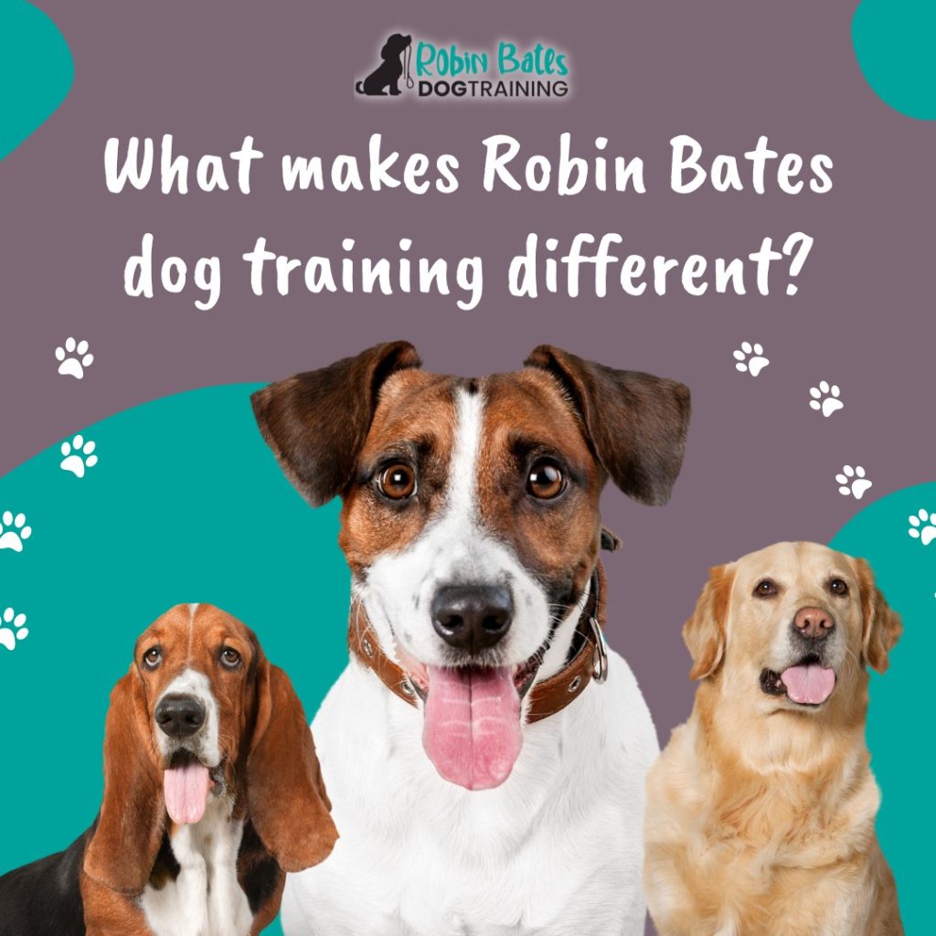 Robin Bates Dog Training